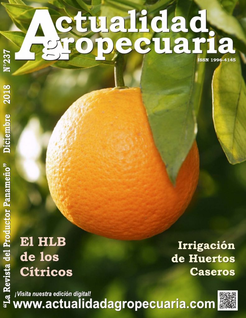 Revista Actualidad Agropecuaria diciembre 2018