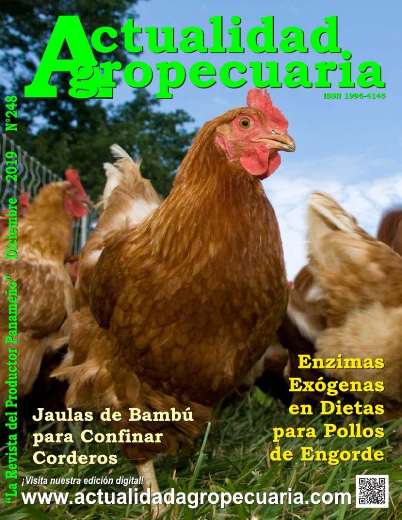 Revista actualidad agropecuaria diciembre 2019