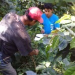 Planes de negocio, una herramienta para avanzar hacia la sostenibilidad en el sector cafetalero de Nicaragua