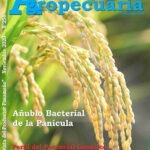 Revista Actualidad Agropecuaria Noviembre 2020