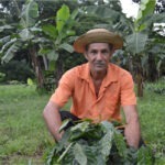 Los agricultores familiares hemos contribuido en este año de pandemia a solventar las necesidades de alimentación en Panamá