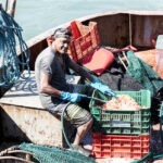FAO lanza el año Internacional de la Pesca y la Acuicultura Artesanales 2022 en América Latina y el Caribe