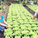 Aportes significativos y desafíos pendientes de la agricultura familiar de América Latina y el Caribe a las acciones contra el cambio climático