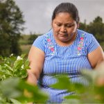Eodora Méndez, trabajadora incansable por el bienestar de los pequeños agricultores hondureños, es distinguida como “Líder de la Ruralidad”