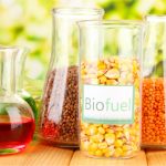 Analizan el papel de los biocombustibles en la transición energética