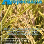 Revista Digital Actualidad Agropecuaria Mayo 2023